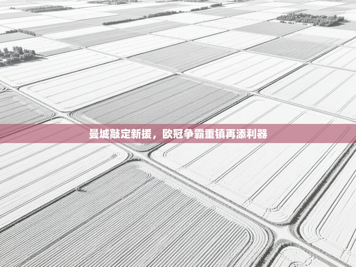 开云注册-曼城敲定新援，欧冠争霸重镇再添利器  第4张