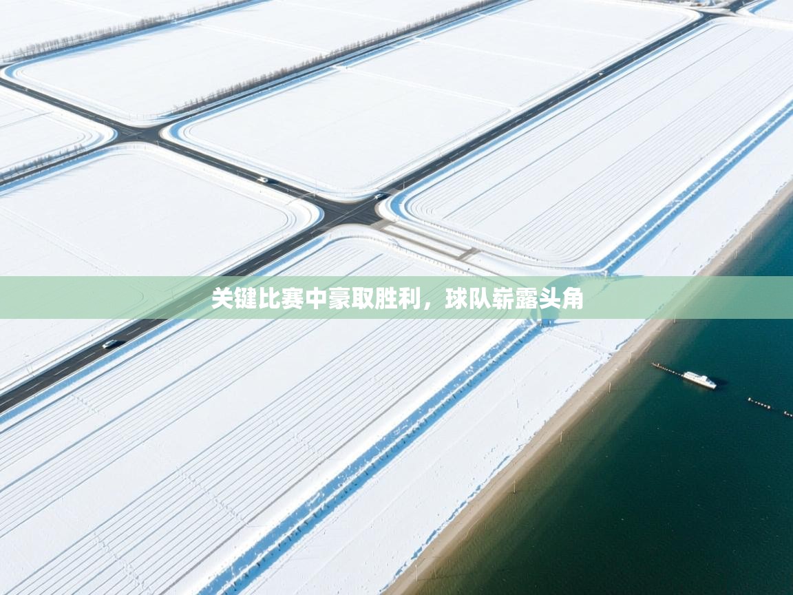 开云体育app官网入口-关键比赛中豪取胜利，球队崭露头角  第1张