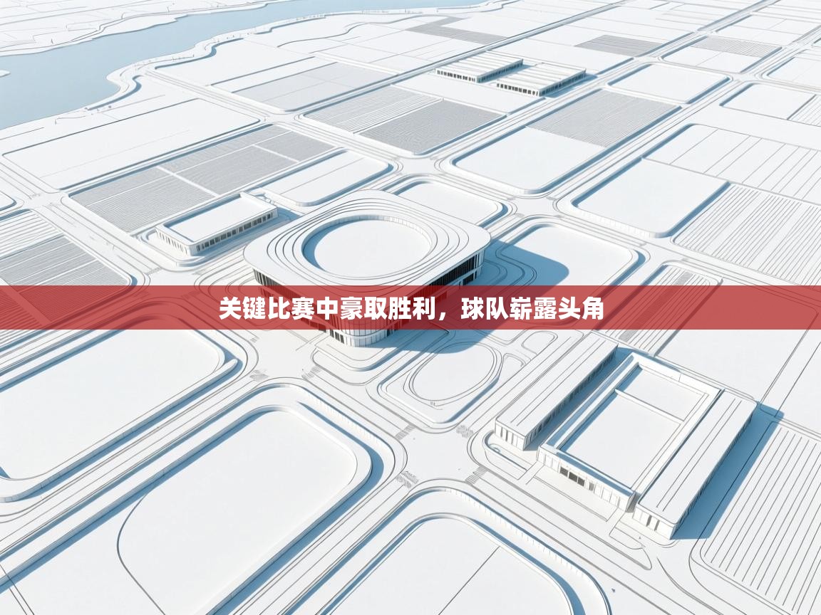 开云体育app官网入口-关键比赛中豪取胜利，球队崭露头角  第3张