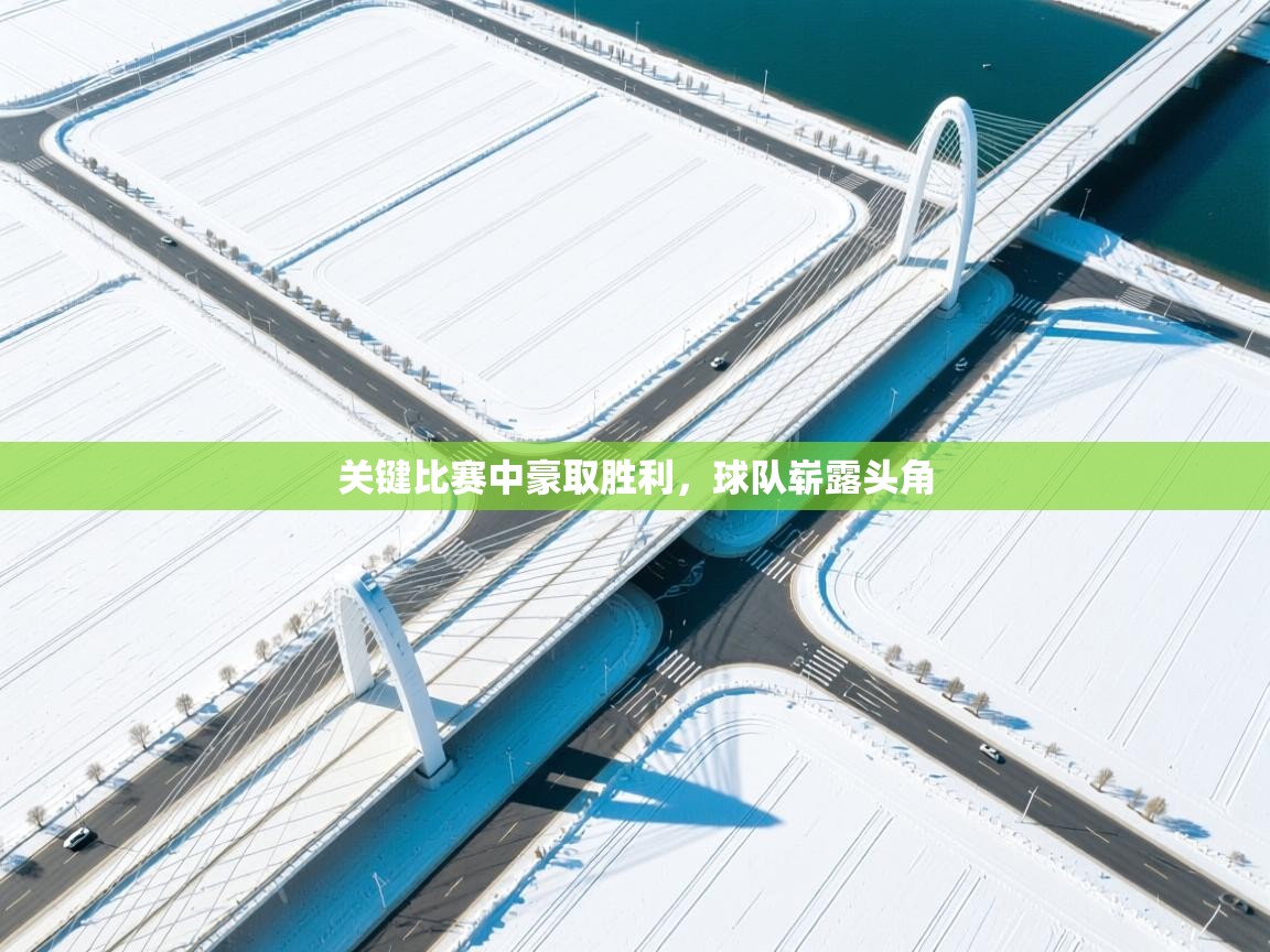 开云体育app官网入口-关键比赛中豪取胜利，球队崭露头角  第4张