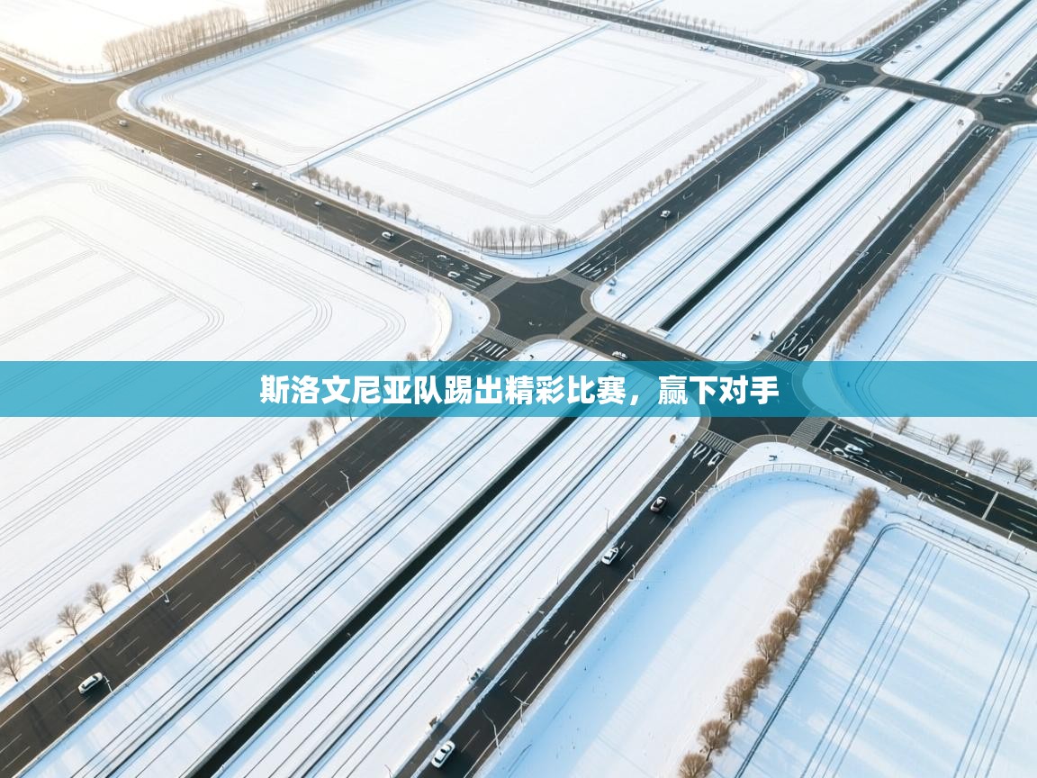 开云体育app官网网页登录入口-斯洛文尼亚队踢出精彩比赛，赢下对手  第3张