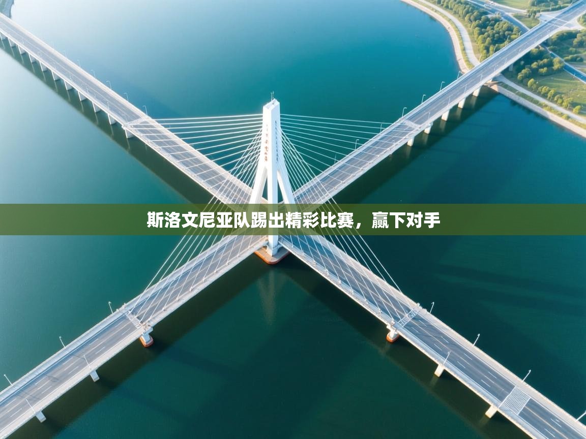 开云体育app官网网页登录入口-斯洛文尼亚队踢出精彩比赛，赢下对手  第4张