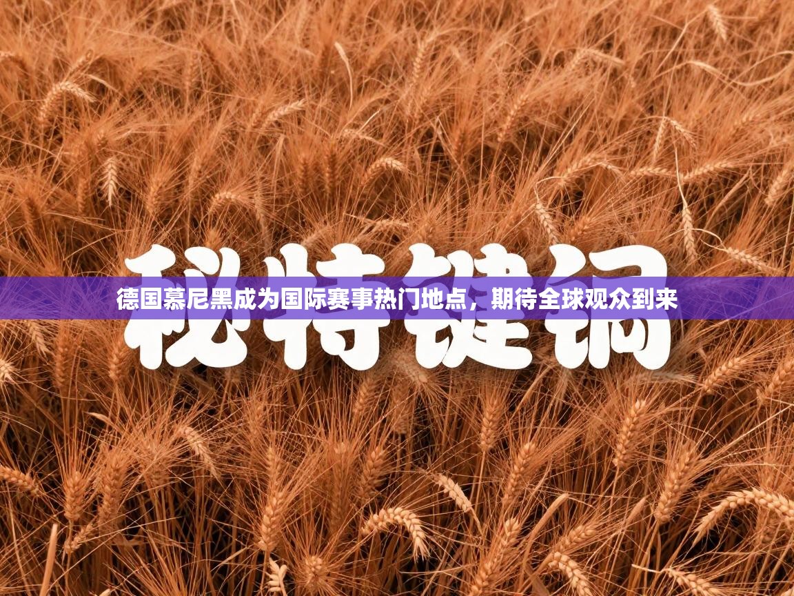 开云体育入口-德国慕尼黑成为国际赛事热门地点，期待全球观众到来  第1张