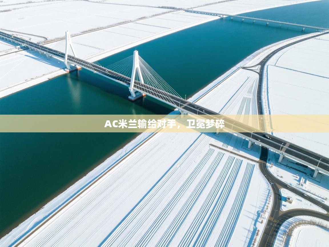 开云体育VIP权益说明-AC米兰输给对手，卫冕梦碎